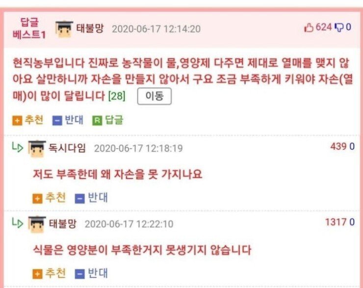 뼈 때리는 현직 농부