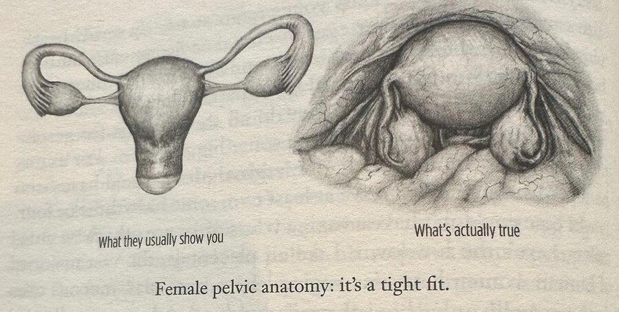 사람들이 잘 모른다는 여자 자궁의 비밀 ㄷㄷㄷ