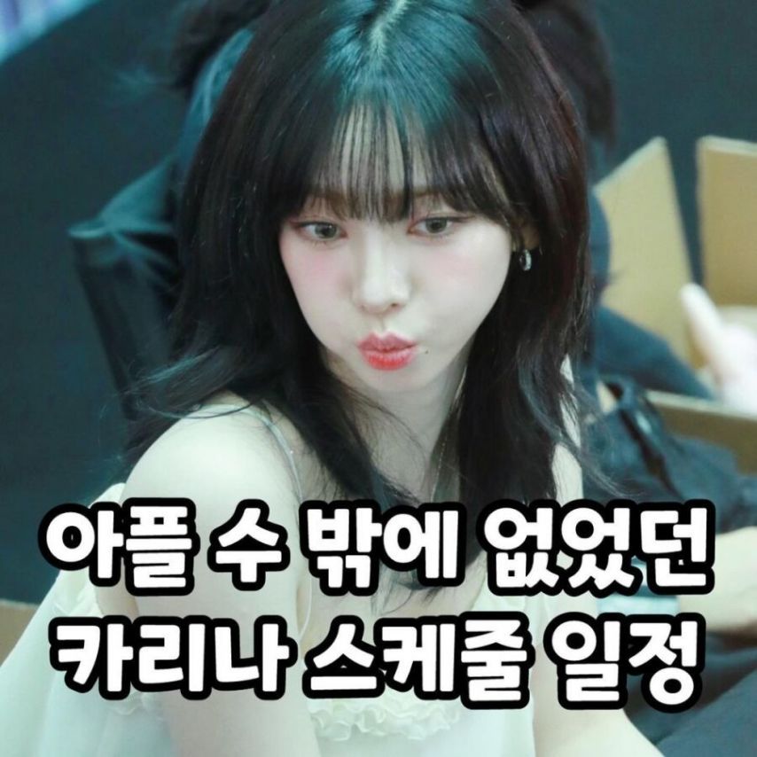 아플 수 밖에 없었던 카리나 스케줄 일정