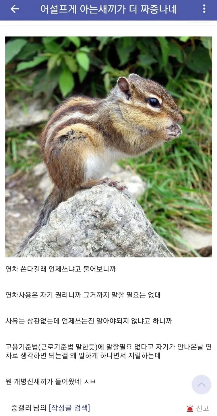 연차 쓰는데 회사에서 ㅈㄹ함