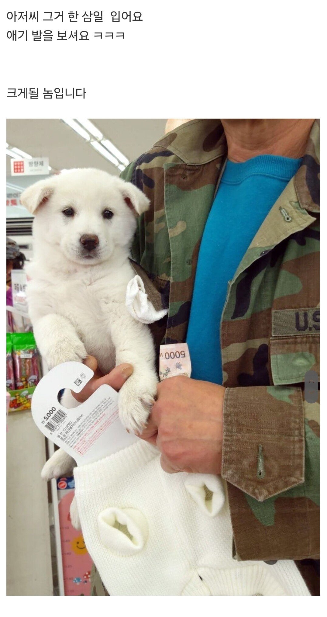 다이소에 시고르자브종 옷 사러 온 아저씨