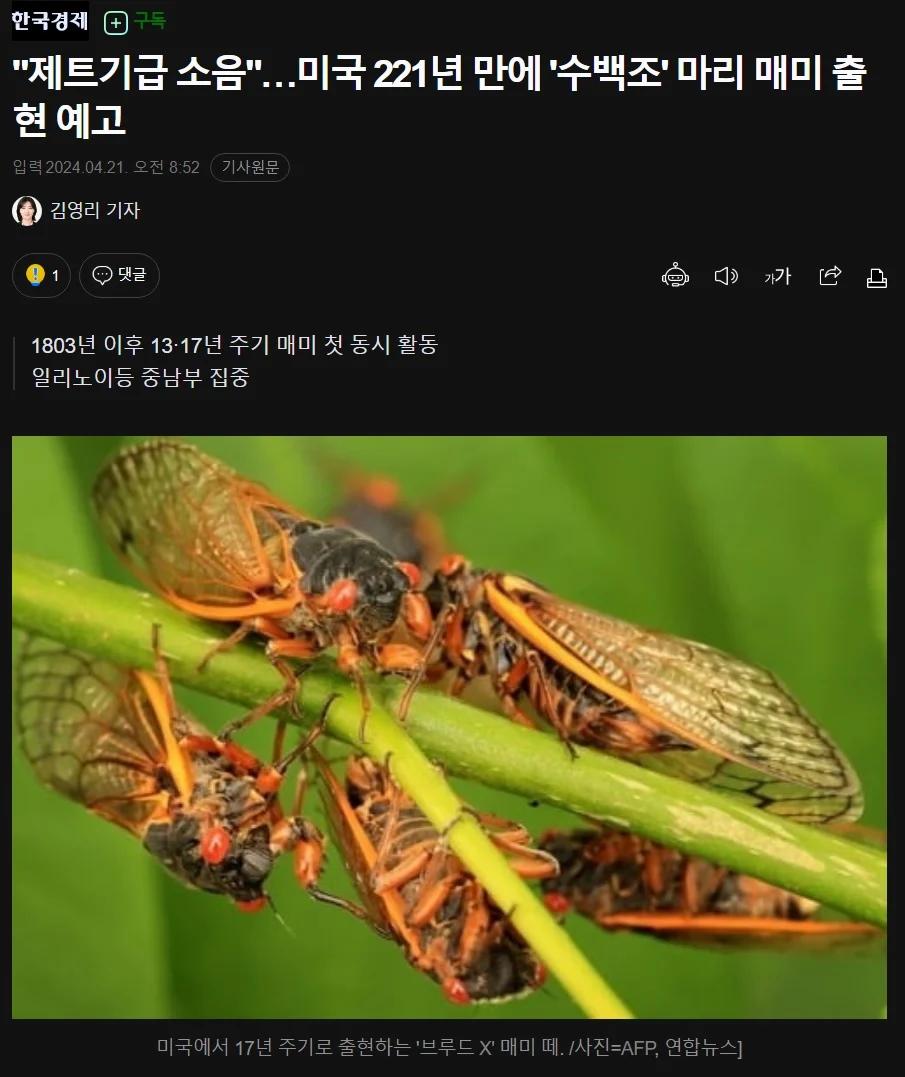 수백조 마리 곤충떼 미국