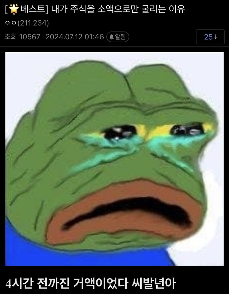 주식을 소액으로만 하는이유