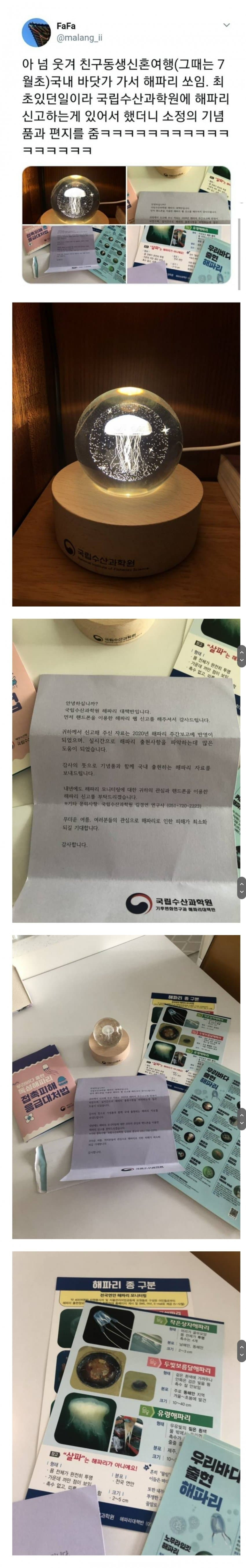 신혼여행가서 해파리 쏘인 신혼부부