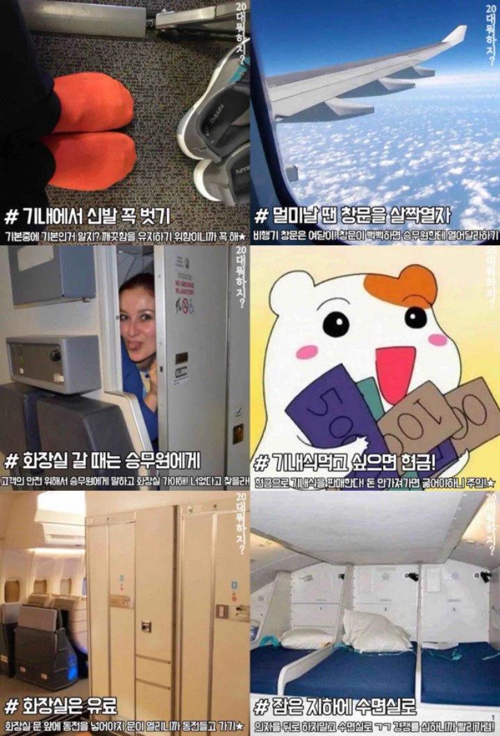 아는사람만아는 비행기 꿀팁