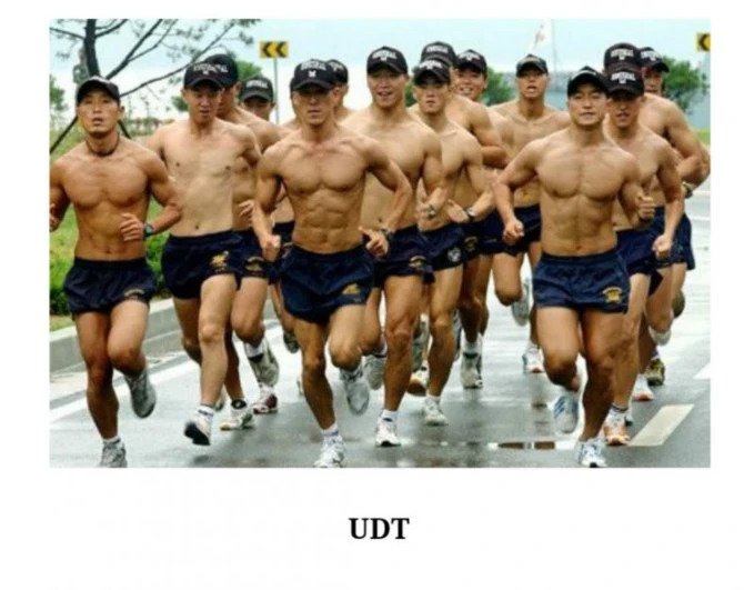 병역별 몸매 차이.