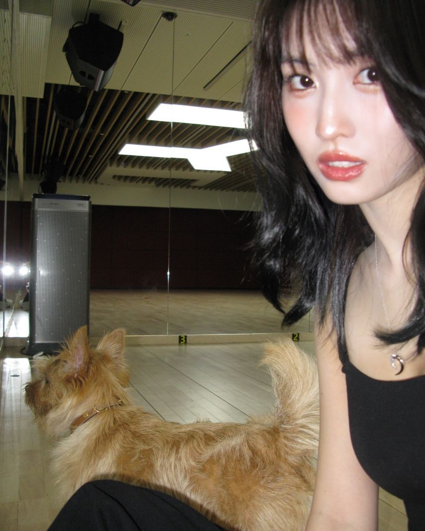 트와이스 인스타-모모,사나,쯔위