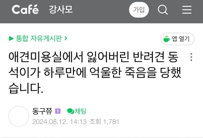 대전 강아지 사망 사건.jpg