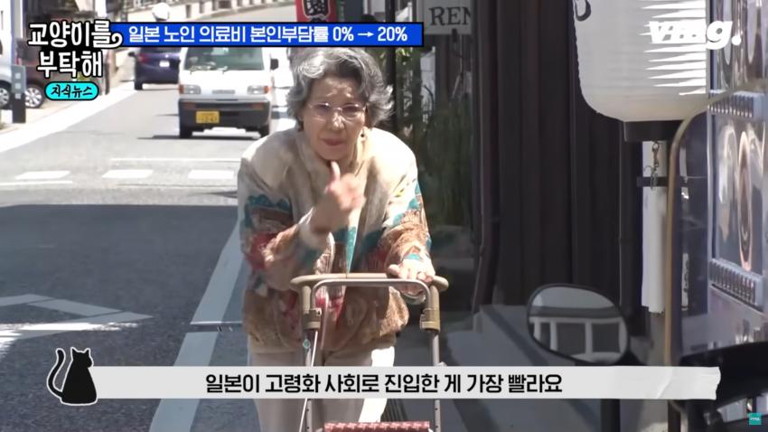 일본 고령화 대책이 한국에게 시사하는 점