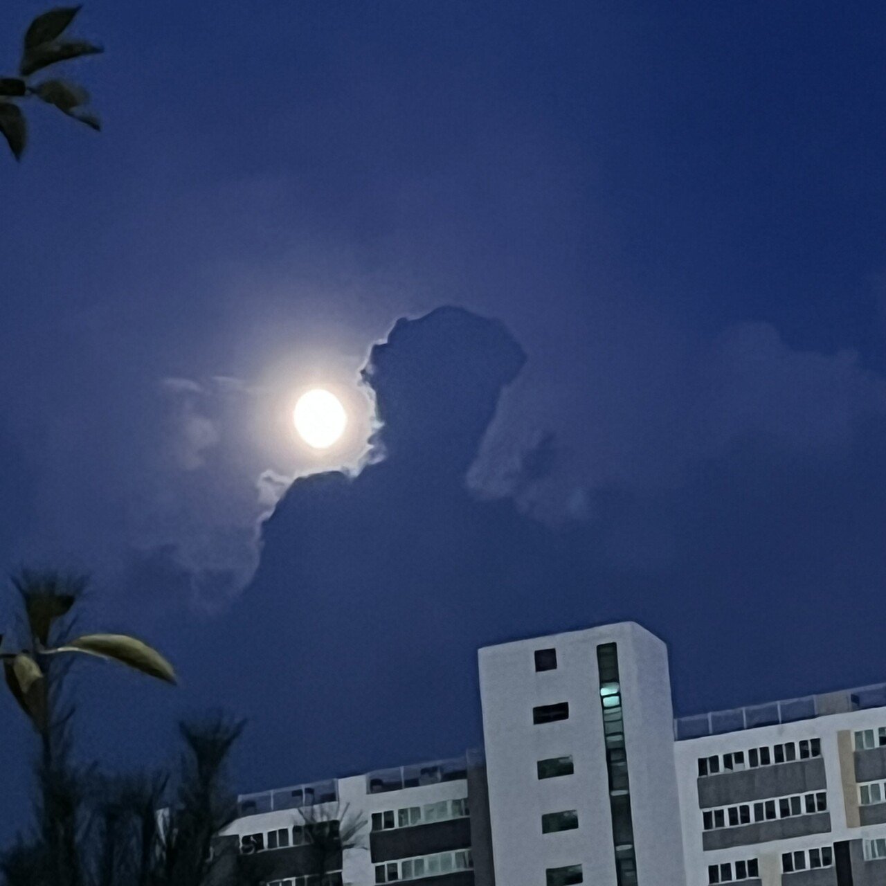 하늘에서 누가 지켜본다 ;;