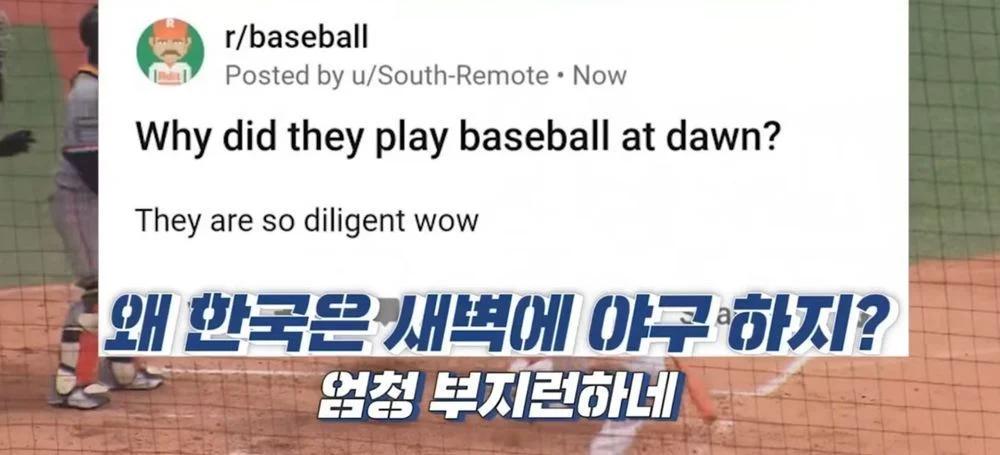 미국인이 놀란 한국인의 부지런함