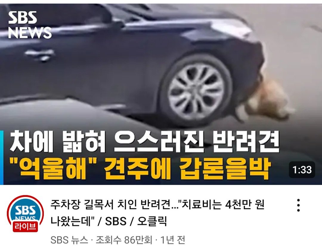 혐) 치료비 4천만원 나온 한문철 레전드...