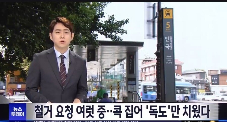 시민안전 때문에 철거했다던 독도 근황