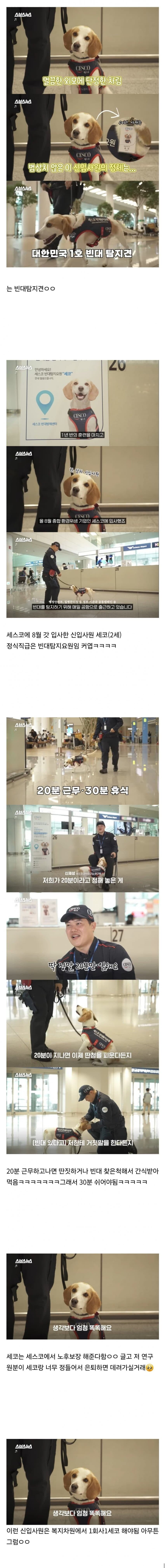 20분 일하면 30분 쉬는 신입사원