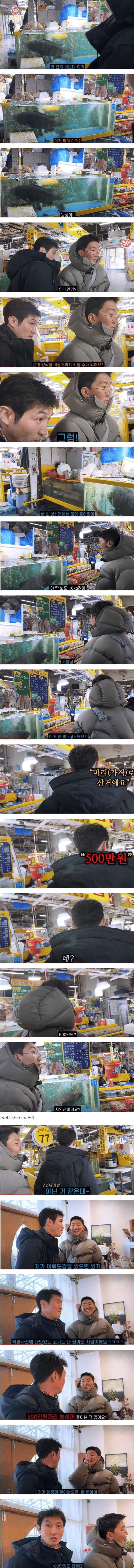 500만원짜리 횟감...레전드 ㄹㅇ