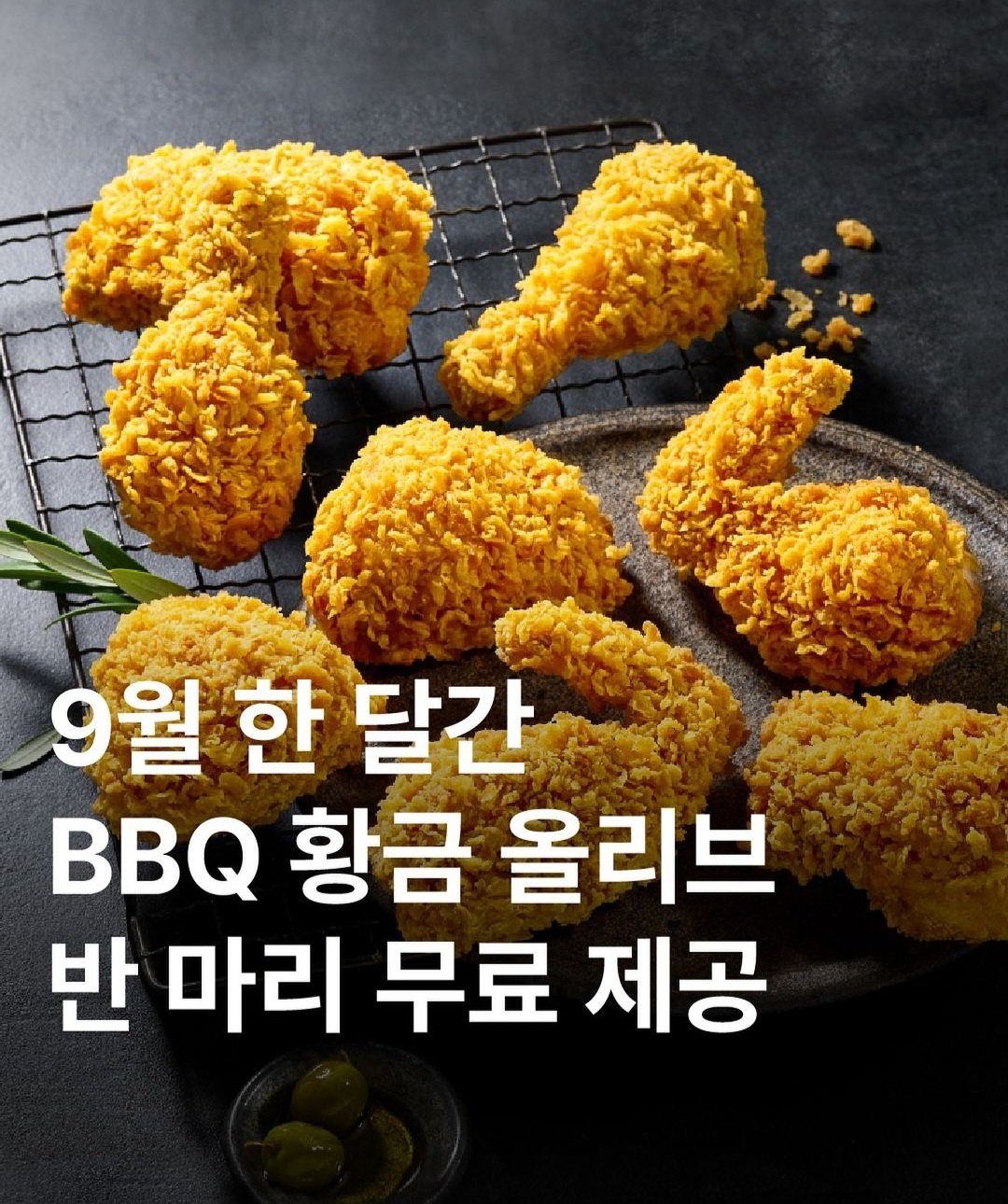 9월 한 달간 BBQ 황금 올리브 반 마리 무료 제공