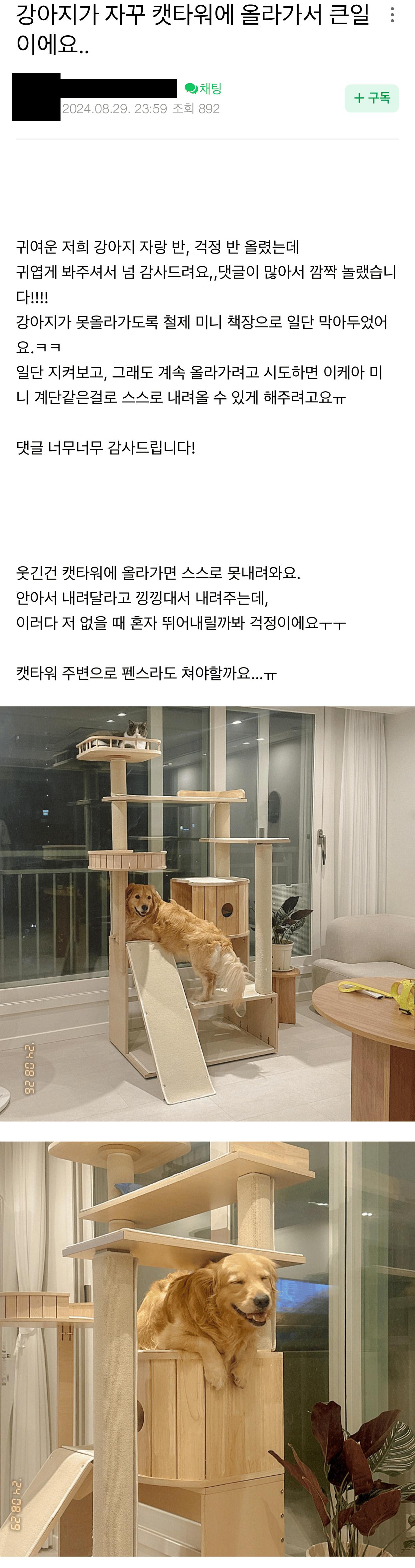 강아지가 자꾸 캣타워에 올라가서 큰일이에요