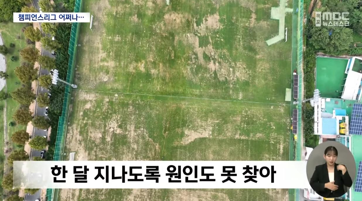 광주FC, 30억 들인 축구연습장 잔디 괴사