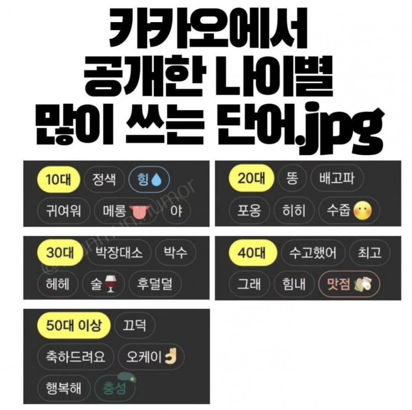 카카오에서 공개한 나이별 많이 쓰는 말