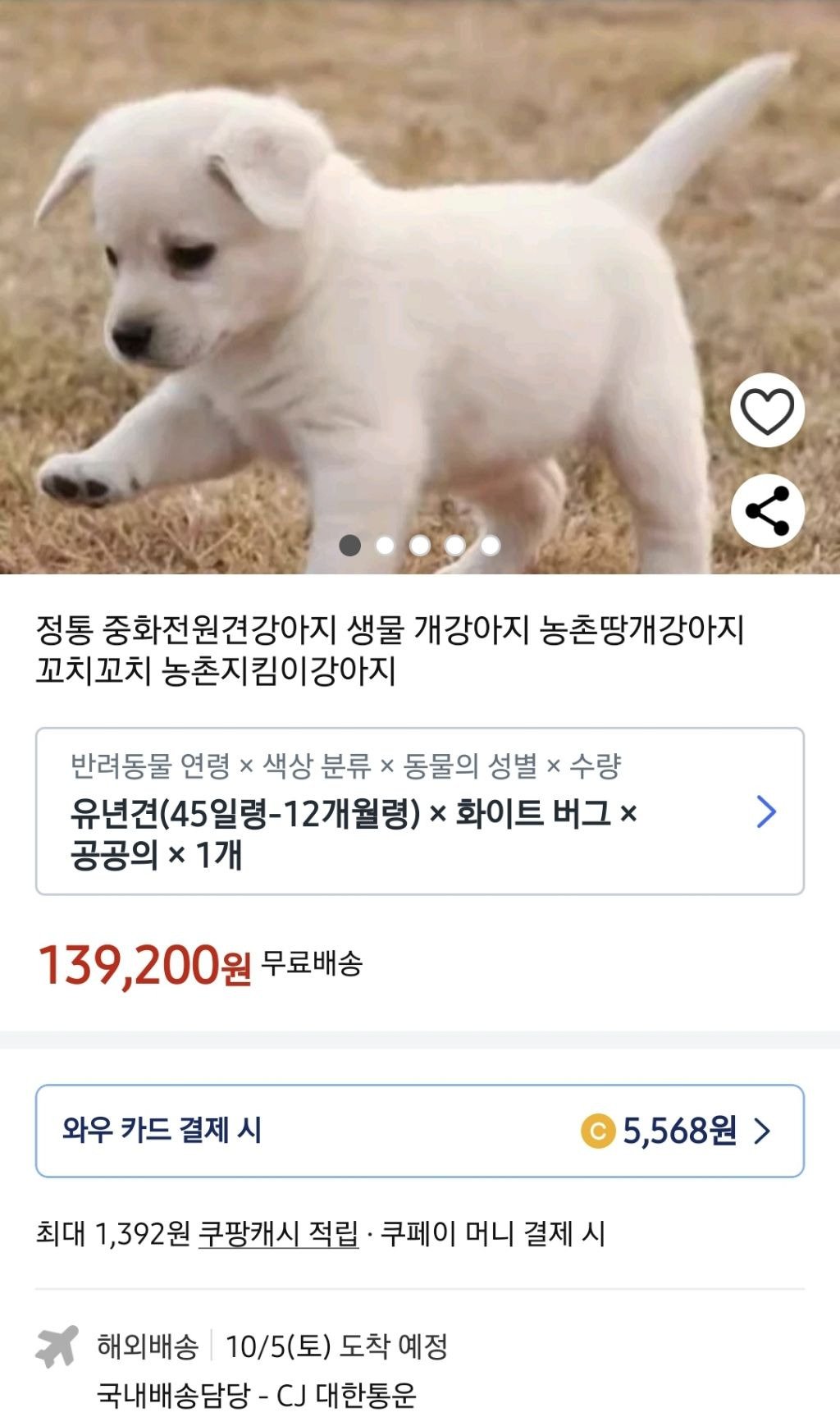 쿠팡에서 판매 중인 강아지