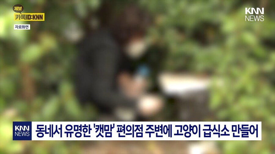 편의점 사장의 미친 판단력