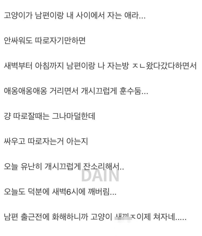 남편이랑 싸워도 따로 잘 수 가 없는 이유