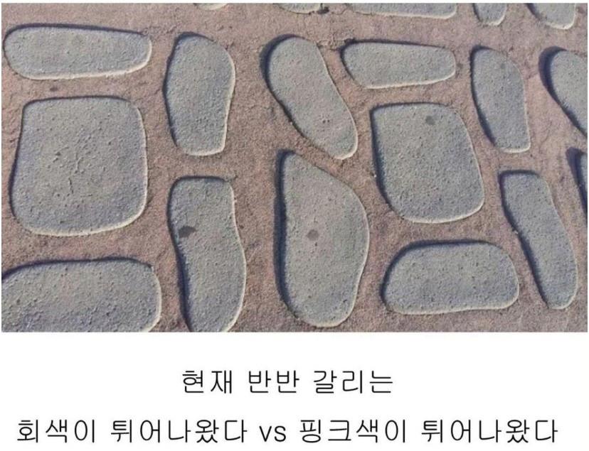 현재 반 반 갈리는 논란