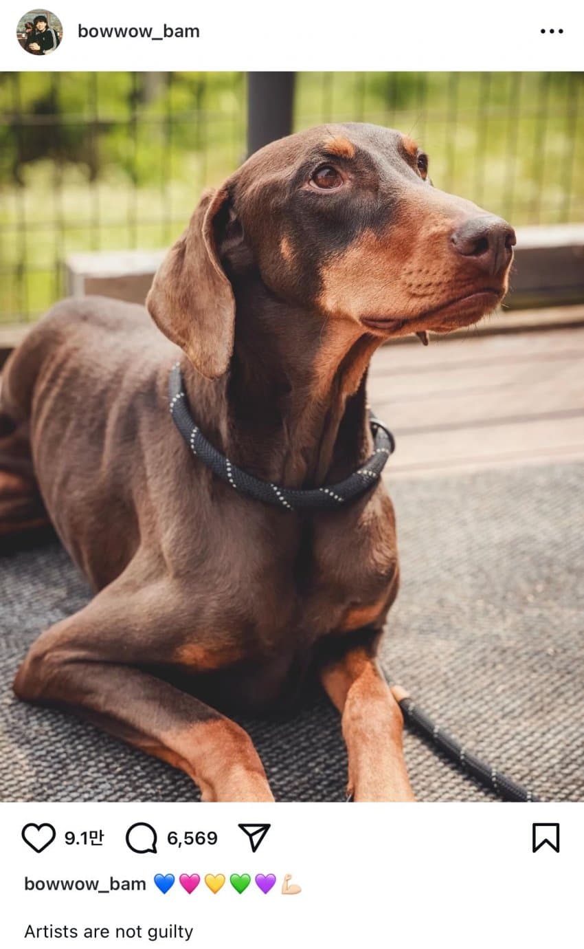 방탄 정국 뉴진스 샤라웃