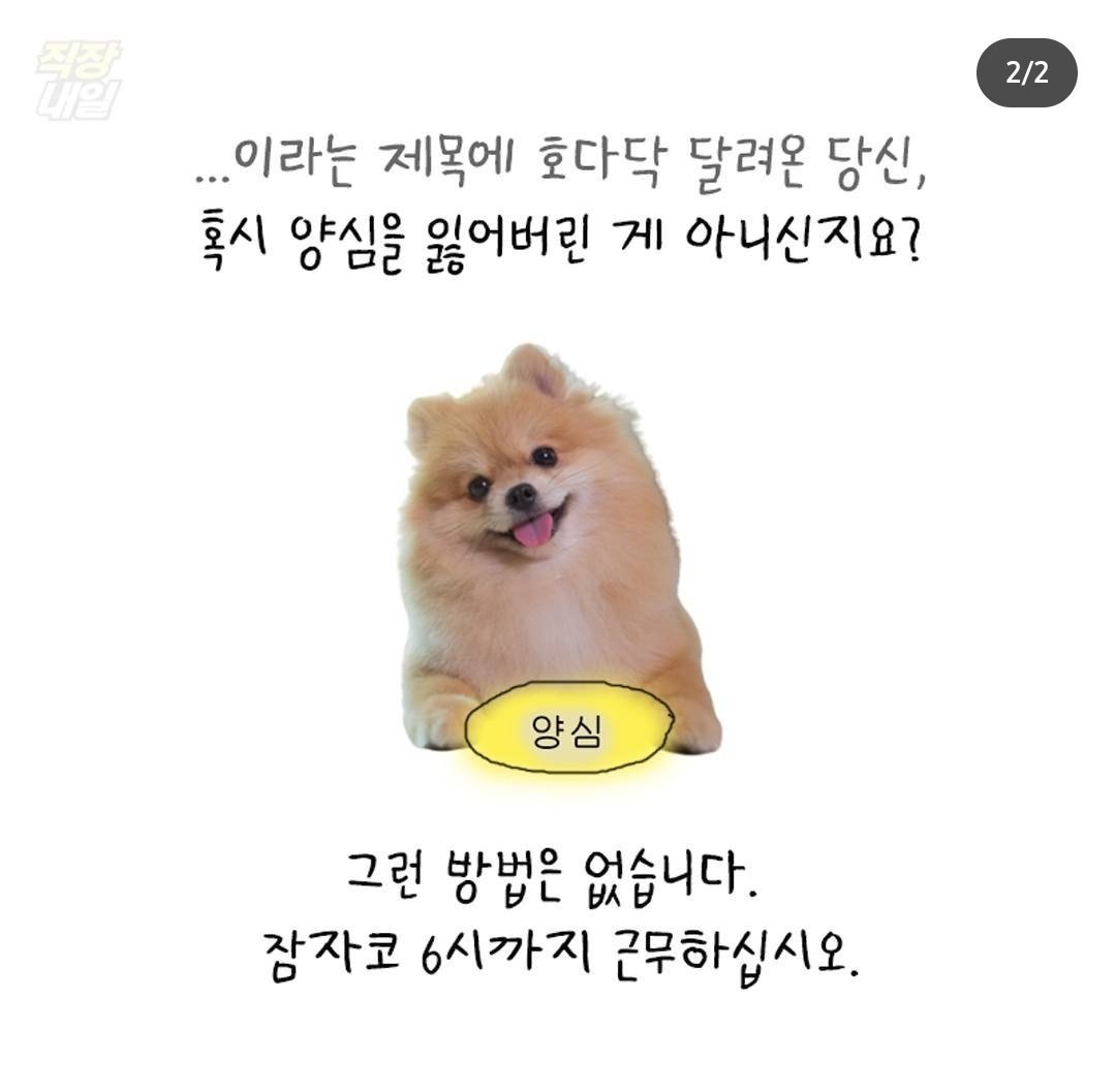 꿀팁)연휴 끝 내일 오전 11시에 퇴근하는 방법