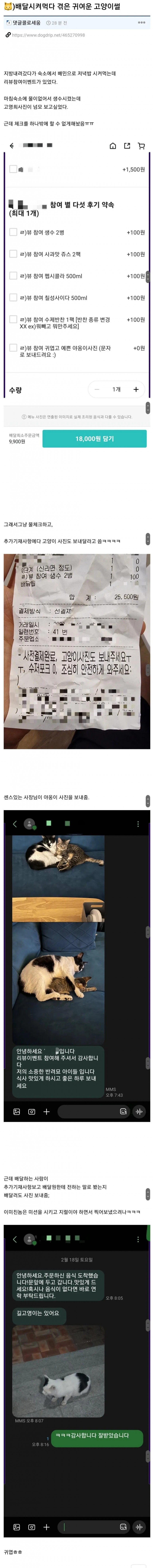 배달시켜먹다 겪은 귀여운 고양이 썰