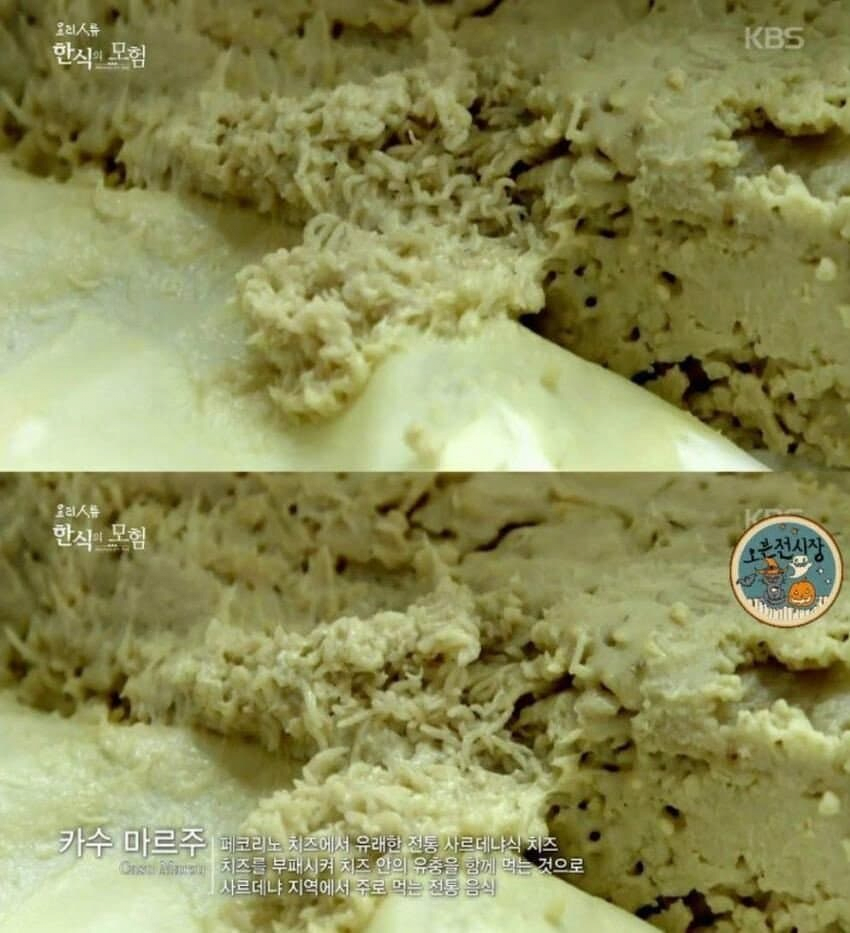 약혐)홍어는 상대도 안되는 이태리 음식