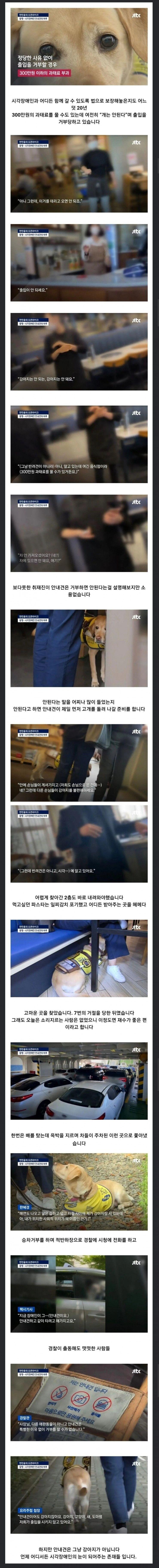 식사 거절을 7번이나 당하는 안내견의 하루...