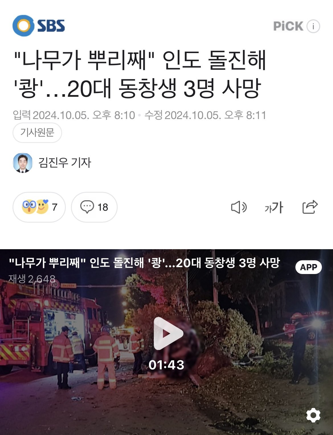 "나무가 뿌리째" 인도 돌진해 '쾅'…20대 동창생 3명 사망