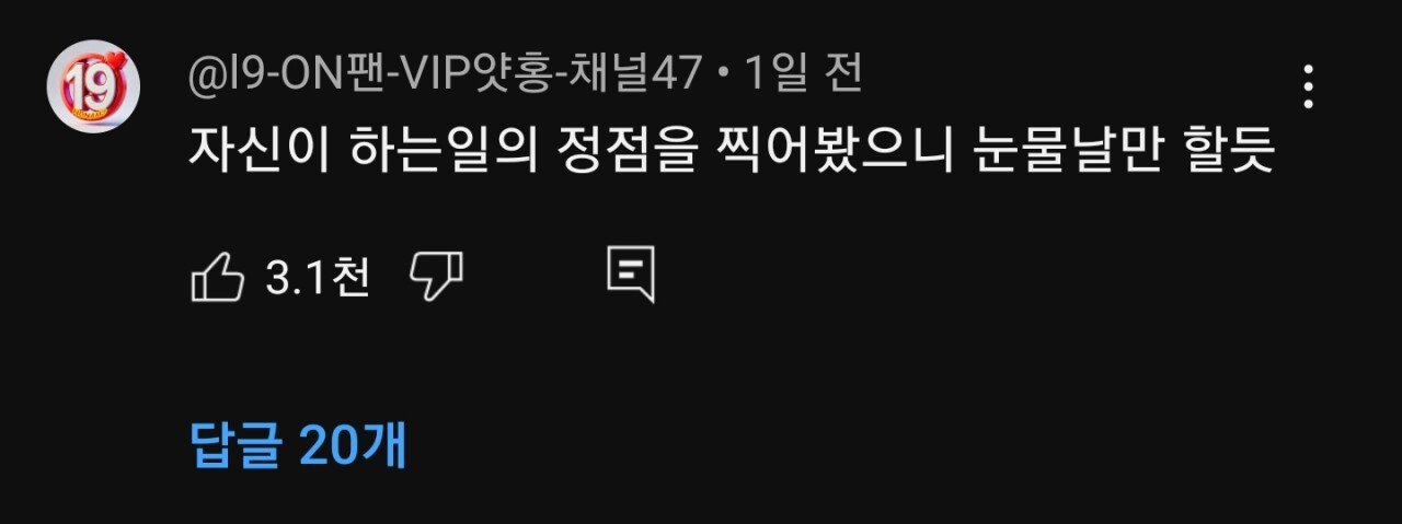 요새 유튜브 ㅈ같은 댓글 근황