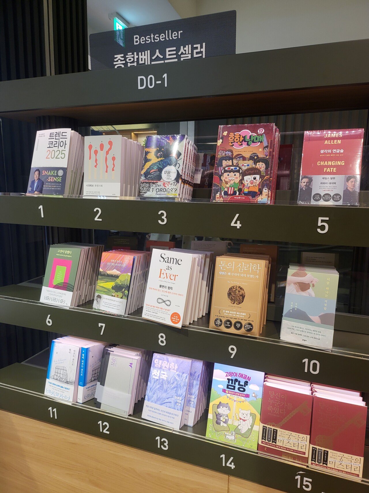 판교 현대백화점 교보문고 한강작가님 오픈런 결과