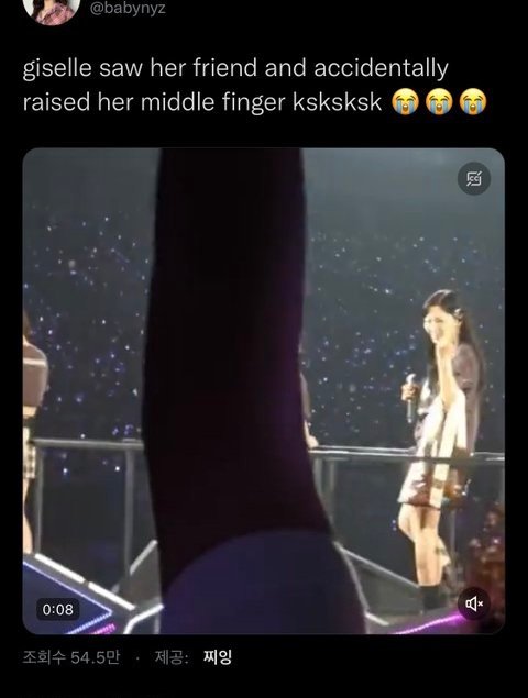 일본 콘서트 중 관객석에 뻐큐 날린 에스파 지젤