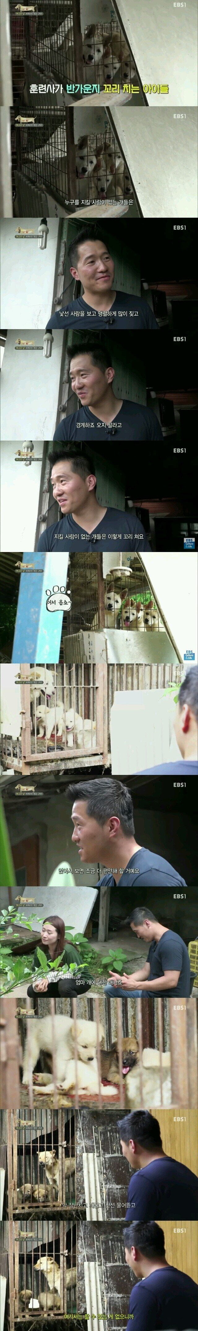 식용견 농장을 방문한 강형욱