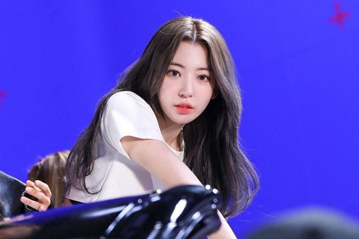 르세라핌 사쿠라