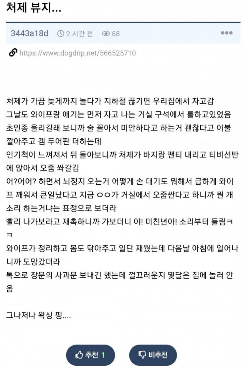 어쩌다 처제 뷰지 관람