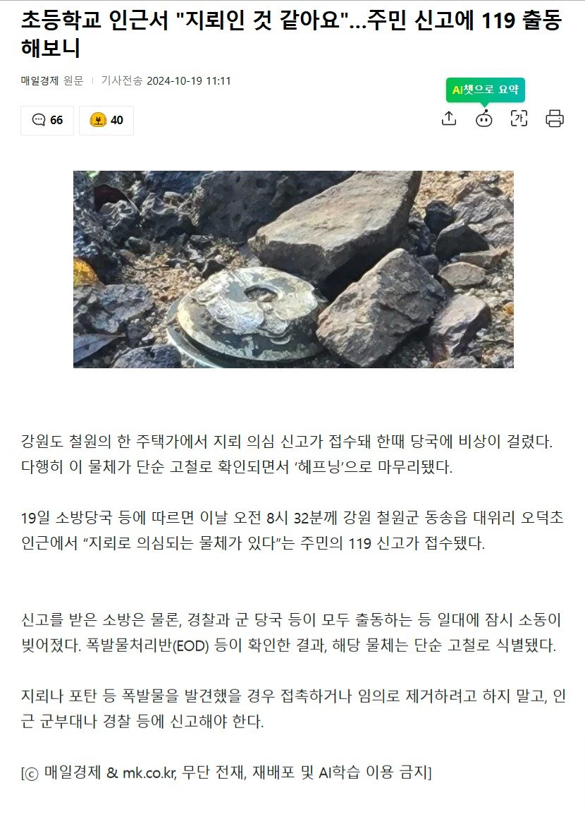 "지뢰인 것 같아요"…주민 신고에 119 출동해보니