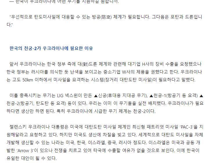 [인터뷰] 한국 찾은 우크라이나 장교, "한국, 천궁-2 수출해달라"