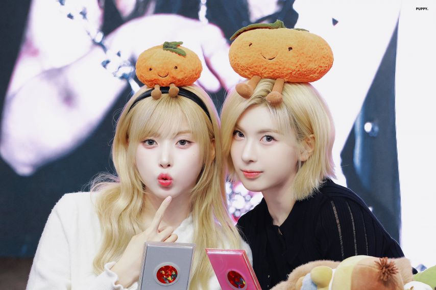 엔믹스 지우 배이