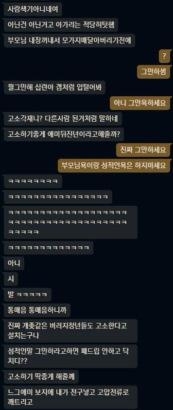 실제 통매음 고소했는데 무혐의 받은 롤 채팅