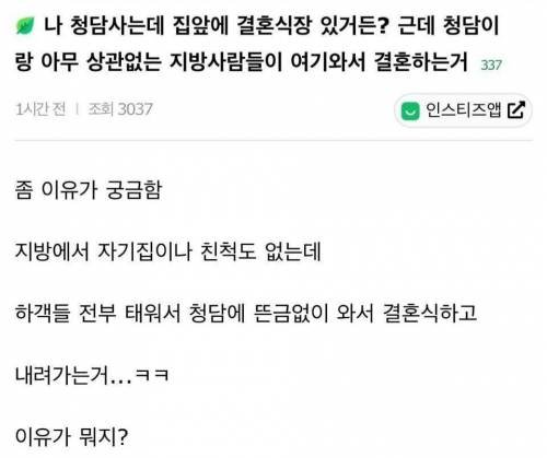 지방사람들 청담와서 결혼하는게 아니꼬운 여자