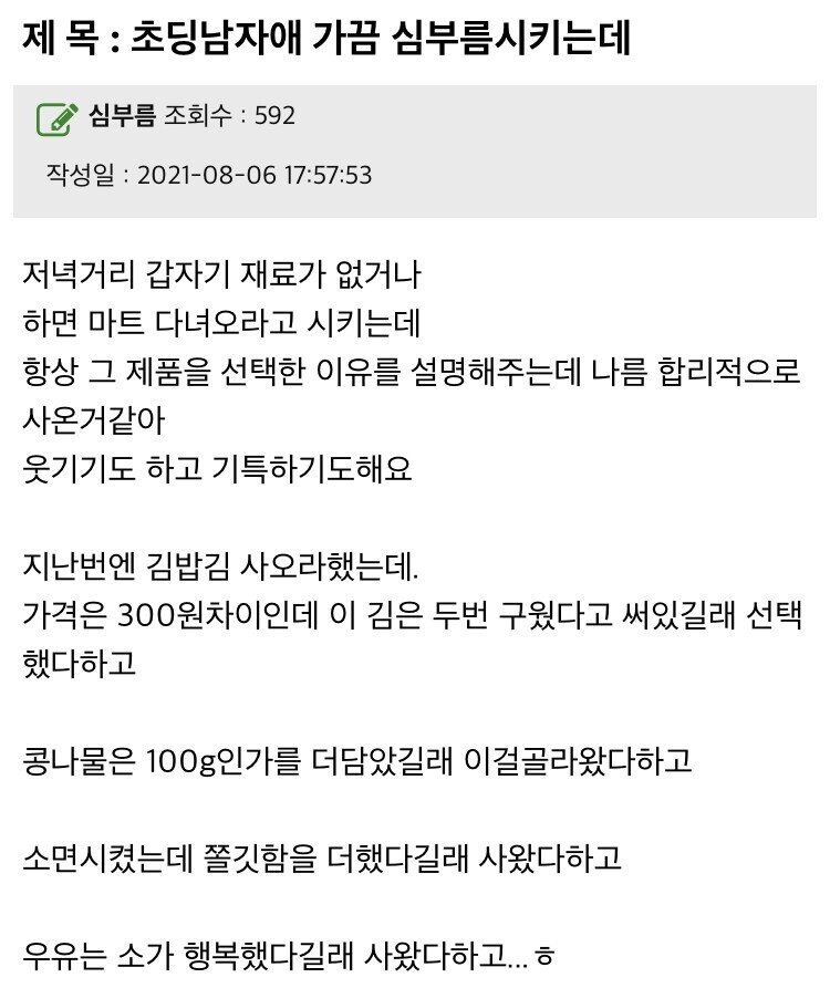 초딩 아들 심부름 후기..