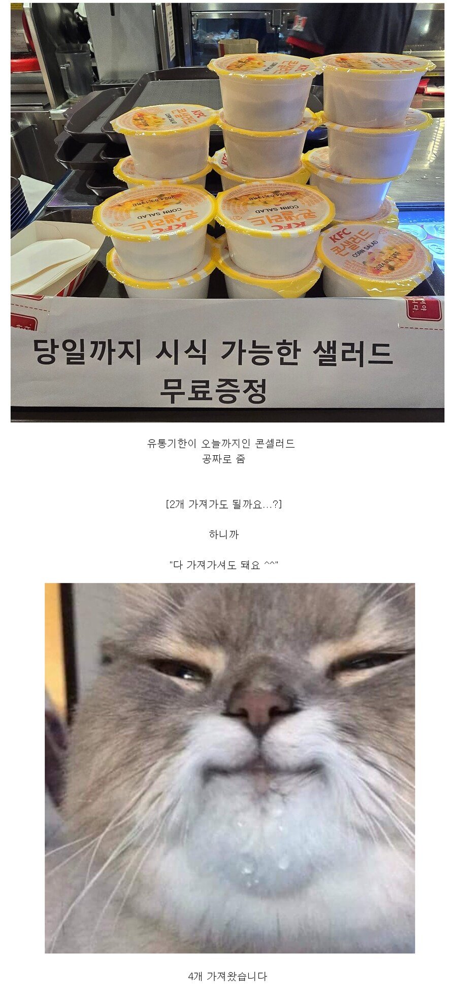 돼지들이 KFC를 좋아하는 이유.