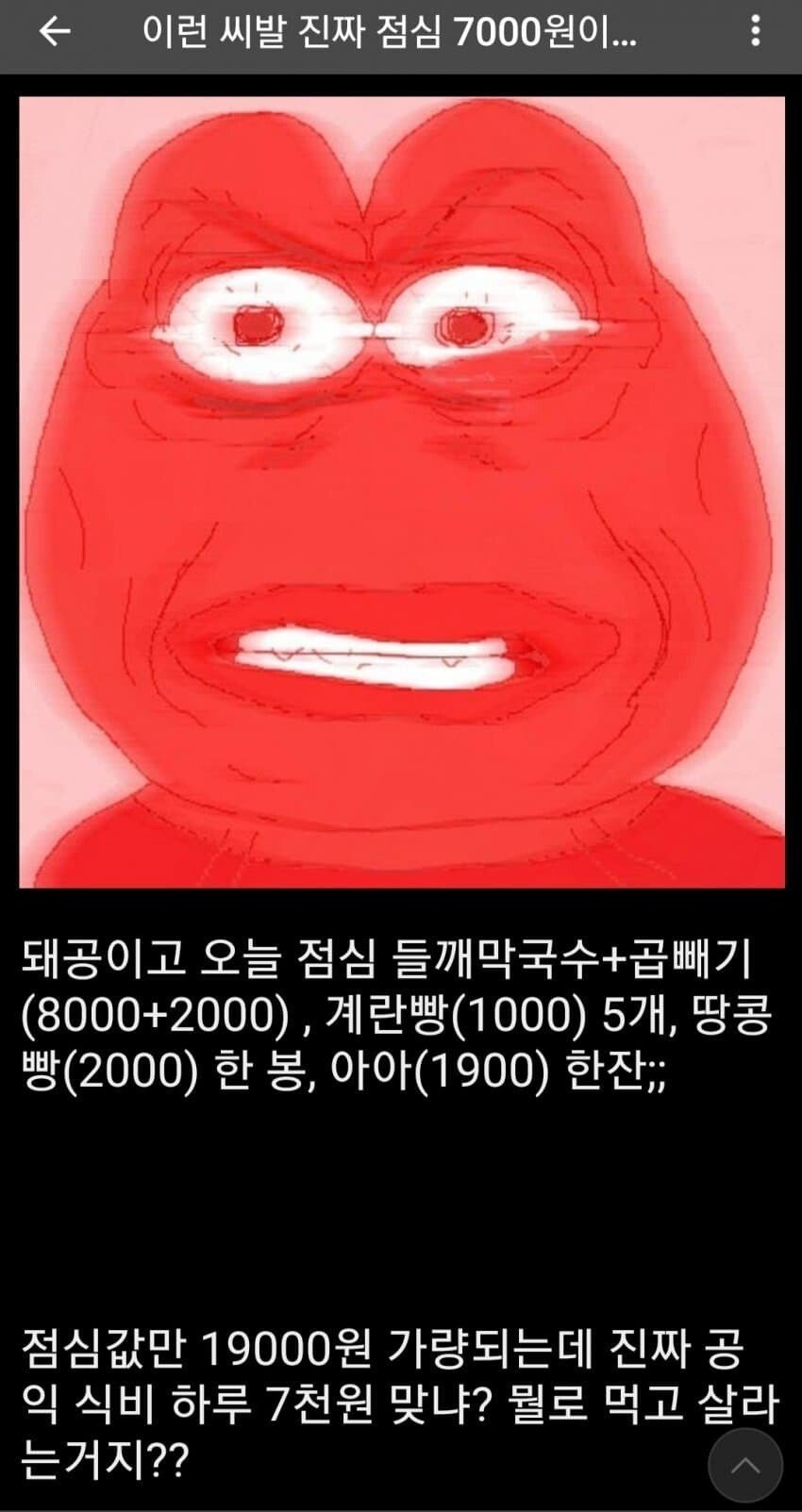 식비가 너무 적어서 극대노한 공익