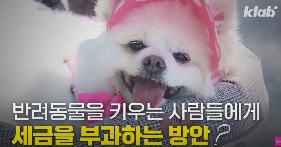 정부“6천억원 증세 계획”