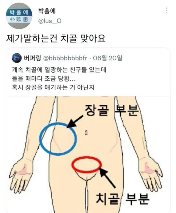 계속 치골에 열광하는 친구들 있는데