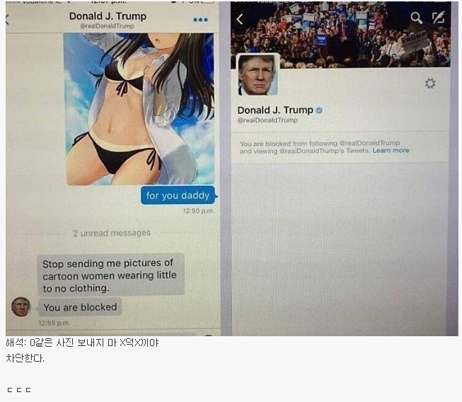 트럼프한테 쪽지 보내고 답장받은 디시인